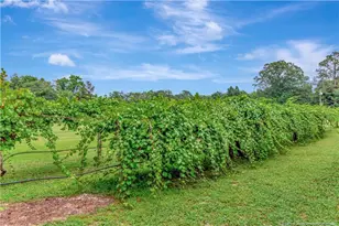 1004 Iona St, Fairmont, NC 28340 - Photo 23