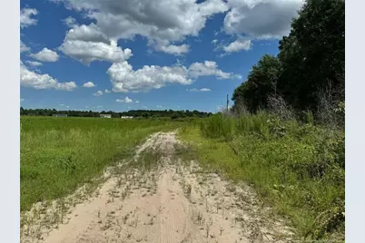 2898 McGirt Gin Road, Maxton, NC 28364 - Photo 7