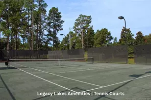 408 Redwater Trail, Aberdeen, NC 28315 - Photo 37