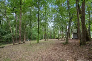 151 Mills Pond Rd, Benson, NC - Photo 9