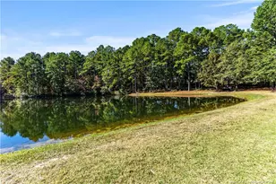 437 Timber Skip Dr, Spring Lake, NC 28390 - Photo 5