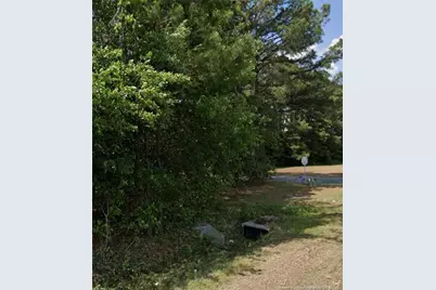 0 Marion Road, Lumberton, NC 28358 - Photo 3