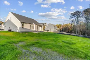 162 Surles Landing Wy, Benson, NC 27504 - Photo 27