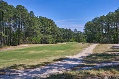 30121 Deercroft Drive, Wagram, NC 28396 - Photo 39