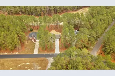 30121 Deercroft Drive, Wagram, NC 28396 - Photo 3