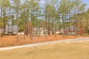 30121 Deercroft Dr, Wagram, NC 28396 - Photo 49