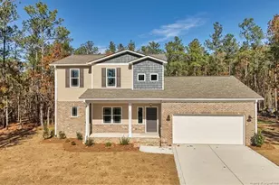 29821 Peach Orchard Rd, Wagram, NC 28396 - Photo 3