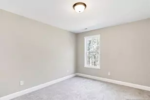 29821 Peach Orchard Rd, Wagram, NC 28396 - Photo 41