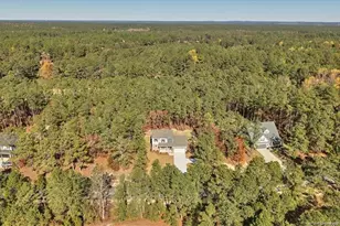 29821 Peach Orchard Rd, Wagram, NC 28396 - Photo 49