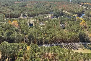 29821 Peach Orchard Rd, Wagram, NC 28396 - Photo 49