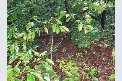 1261 Bingham Drive, Fayetteville, NC 28304 - Photo 3