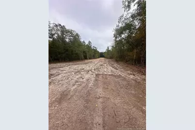 Tbd Doe Hill Road, Autryville, NC 28318 - Photo 45