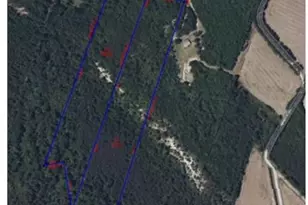 Tbd Doe Hill Rd, Autryville, NC 28318 - Photo 47