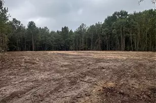 Tbd Doe Hill Rd, Autryville, NC 28318 - Photo 43