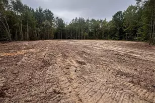 Tbd Doe Hill Rd, Autryville, NC 28318 - Photo 41