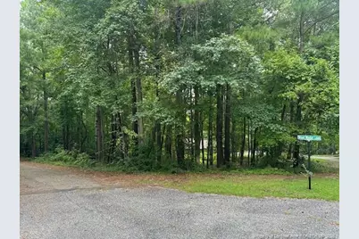 162 Woodwedge Way, Sanford, NC 27332 - Photo 1