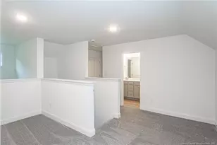 3163 S River School Rd Lot 14, Wade, NC 28395 - Photo 21