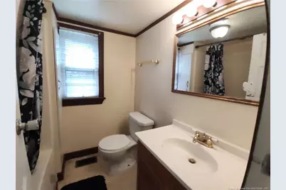 53 Old E C Womack Road, Sanford, NC 27330 - Photo 19