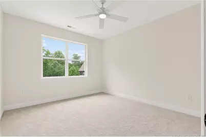 197 Silverside Drive, Angier, NC 27501 - Photo 43