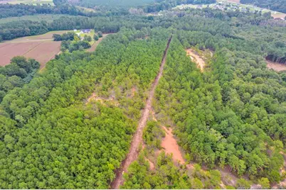 00 Blue Woods Road, Laurinburg, NC 28352 - Photo 11