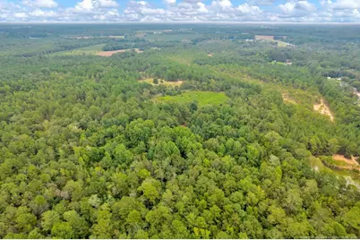 00 Blue Woods Road, Laurinburg, NC 28352 - Photo 13