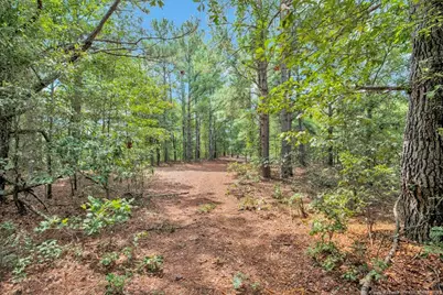 00 Blue Woods Road, Laurinburg, NC 28352 - Photo 25