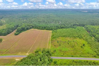 00 Blue Woods Road, Laurinburg, NC 28352 - Photo 15