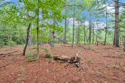 00 Blue Woods Road, Laurinburg, NC 28352 - Photo 21