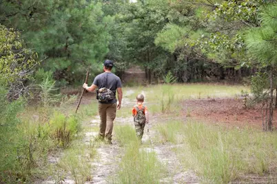 00 Blue Woods Road, Laurinburg, NC 28352 - Photo 9