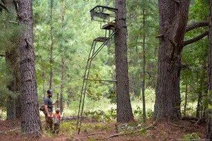 00 Blue Woods Rd, Laurinburg, NC 28352 - Photo 1