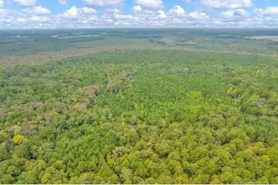 00 Blue Woods Road, Laurinburg, NC 28352 - Photo 5