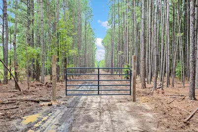 00 Blue Woods Road, Laurinburg, NC 28352 - Photo 3