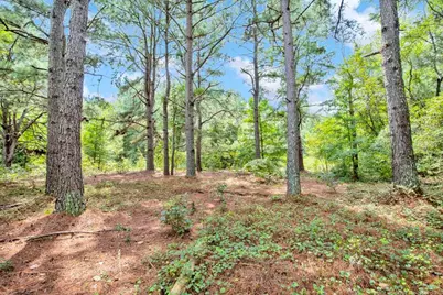 00 Blue Woods Road, Laurinburg, NC 28352 - Photo 31