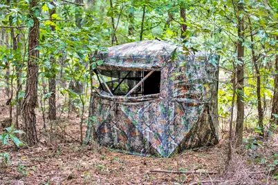 00 Blue Woods Road, Laurinburg, NC 28352 - Photo 35