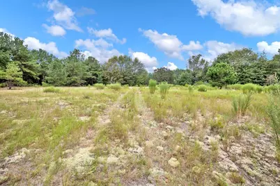 00 Blue Woods Road, Laurinburg, NC 28352 - Photo 7