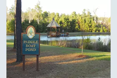 78 Graduate Court, Spring Lake, NC 28390 - Photo 39