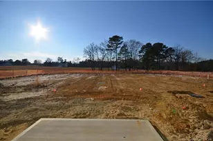 465 Black Duck Ln Lot 103, Lillington, NC 27546 - Photo 15