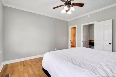 5247 N Old Stage Road, Angier, NC 27501 - Photo 17