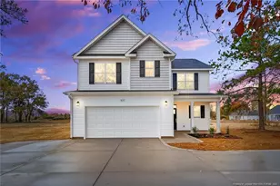 419 Delmore Rd, Autryville, NC 28318 - Photo 1