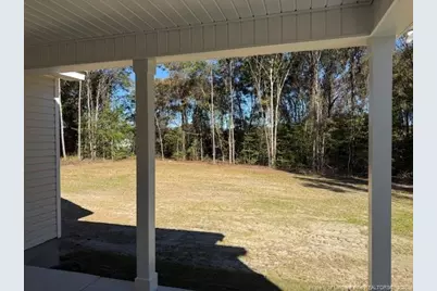 187 Surles Landing Way, Benson, NC 27504 - Photo 15