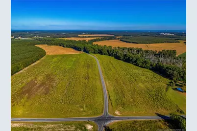 Lot 8 Daniel McLeod Road, Red Springs, NC 28377 - Photo 3