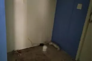 15841 St Johns Church Rd, Gibson, NC 28343 - Photo 13