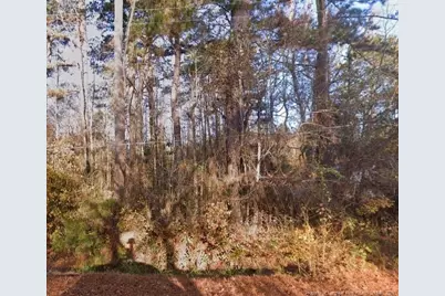 N Webb Street, Selma, NC 27576 - Photo 1