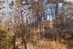 N Webb St, Selma, NC 27576 - Photo 1