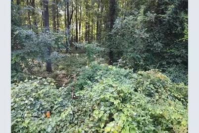 Lot 8 Lemon Springs Road, Sanford, NC 27332 - Photo 11