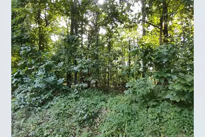 Lot 8 Lemon Springs Road, Sanford, NC 27332 - Photo 7