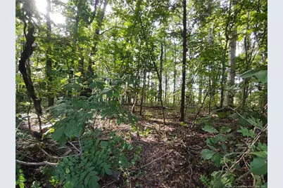 Lot 8 Lemon Springs Road, Sanford, NC 27332 - Photo 1