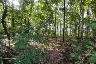 Lot 8 Lemon Springs Rd, Sanford, NC 27332 - Photo 1