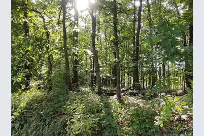 Lot 8 Lemon Springs Road, Sanford, NC 27332 - Photo 5