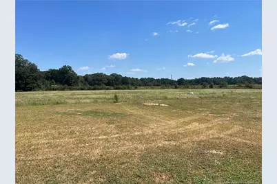 74 Dalton Drive, Lumber Bridge, NC 28357 - Photo 17